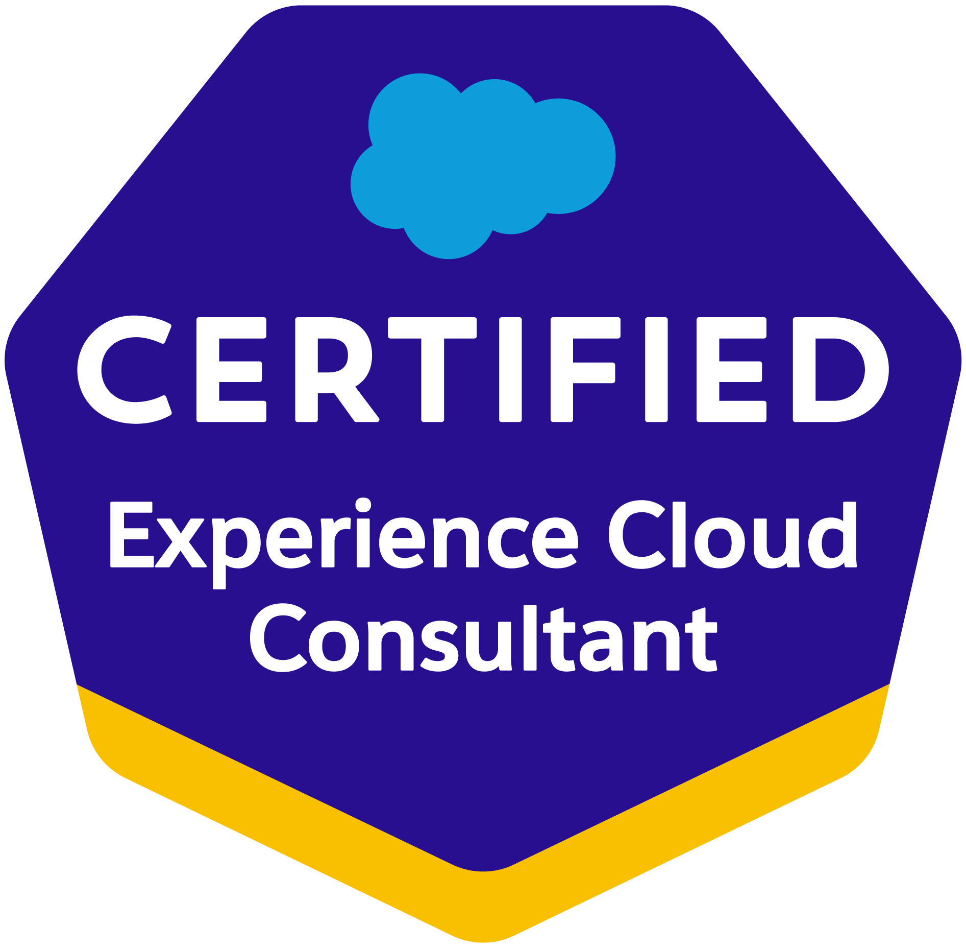 Certified Salesforce Experince Cloud Consultant